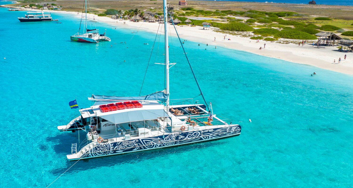 klein curacao bluefinn