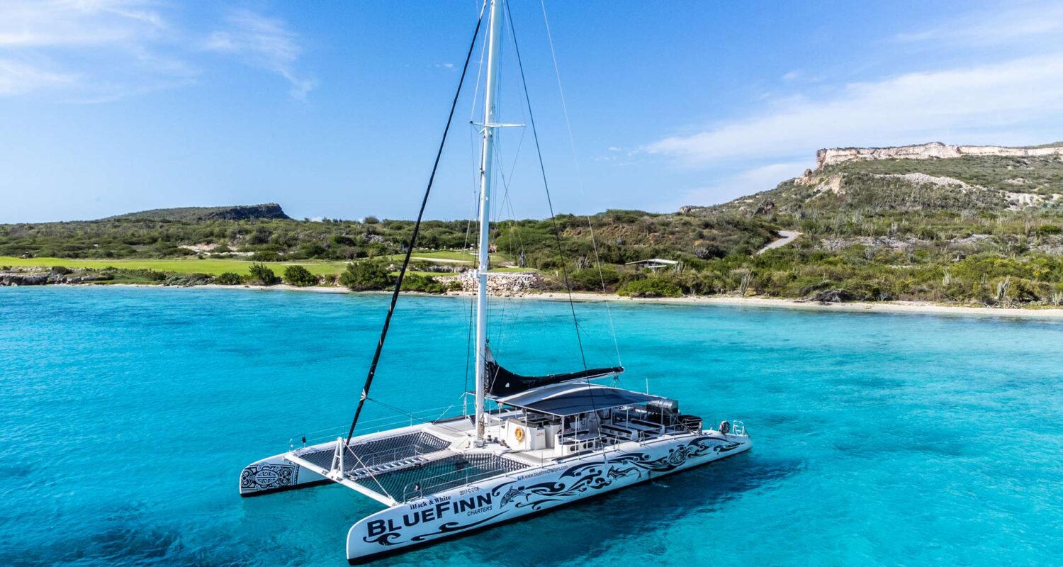 Catamaran BlueFinn