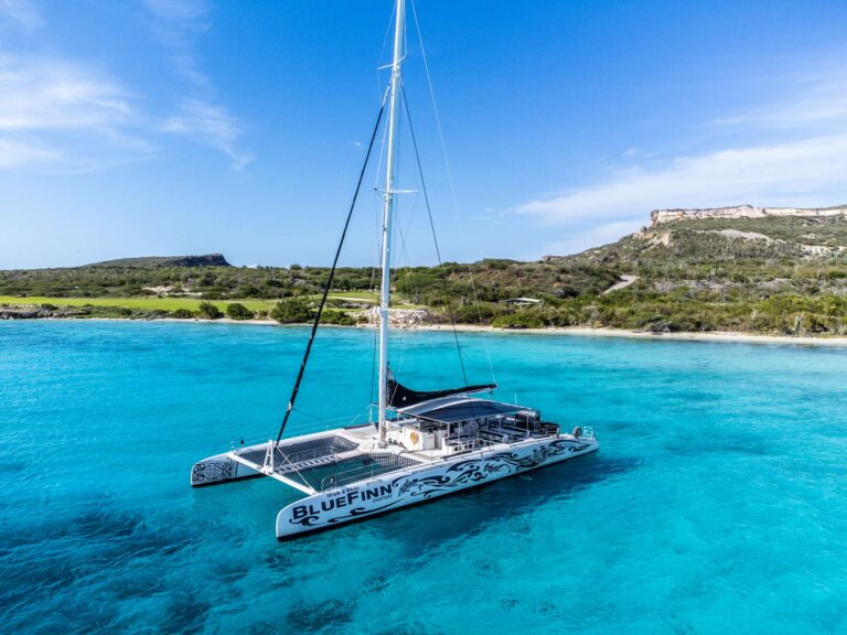 Catamaran Bluefinn 1