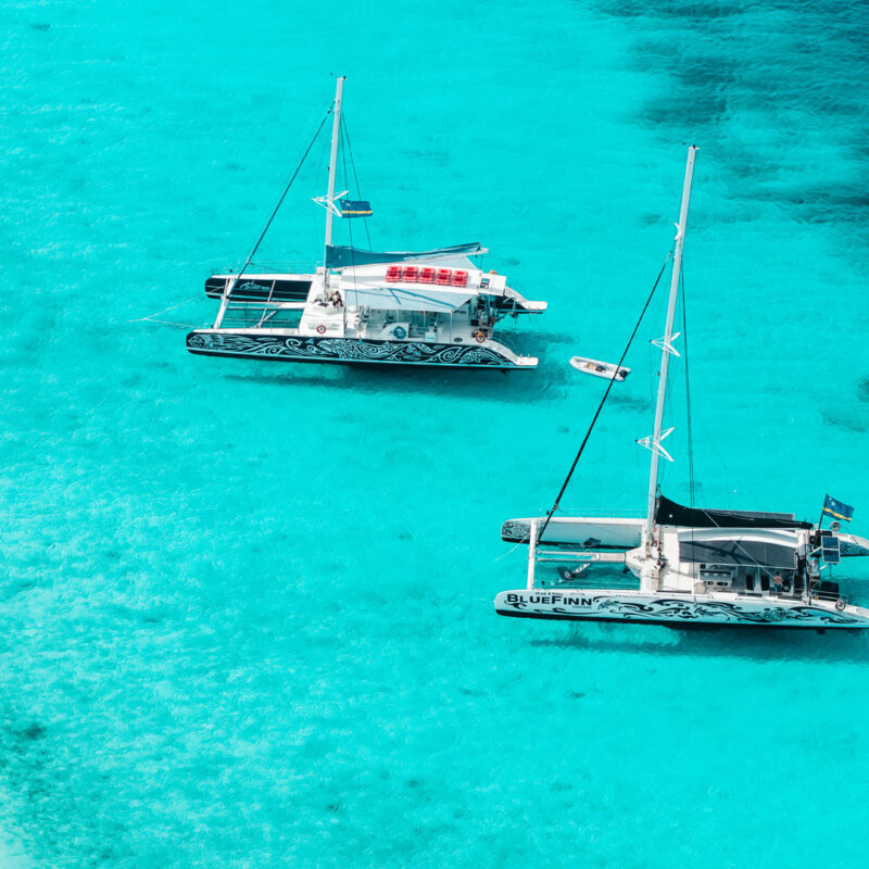 Bluefinn Charter Catamarans