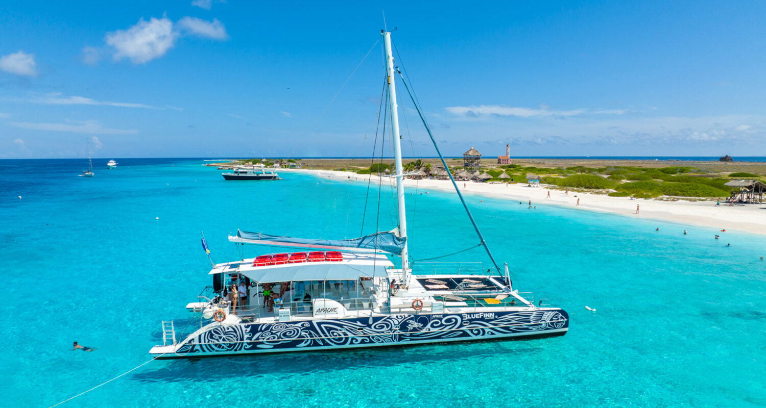 bluefinn catamaran
