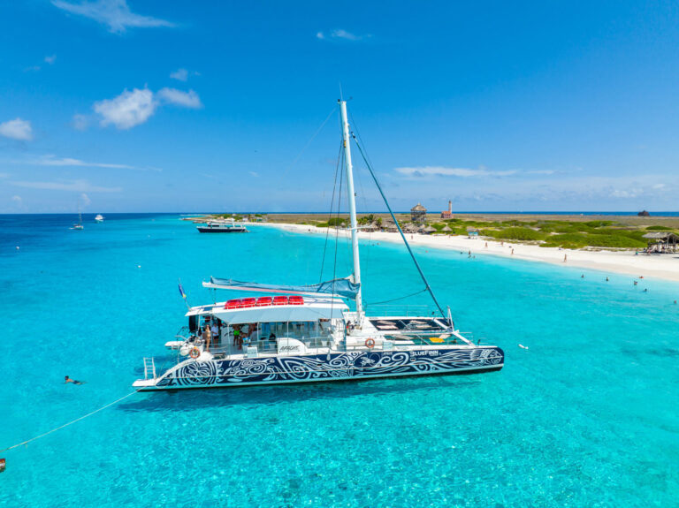 bluefinn catamaran