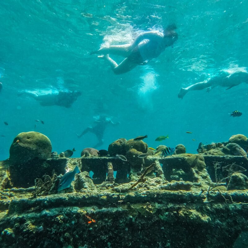 snorkeling at shipwreck with fish