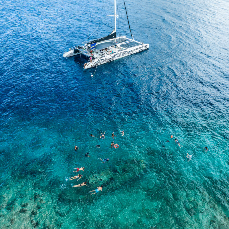 snorkeling at the tugboat