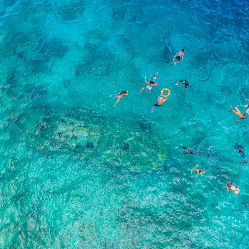 People snorkeling in blue water