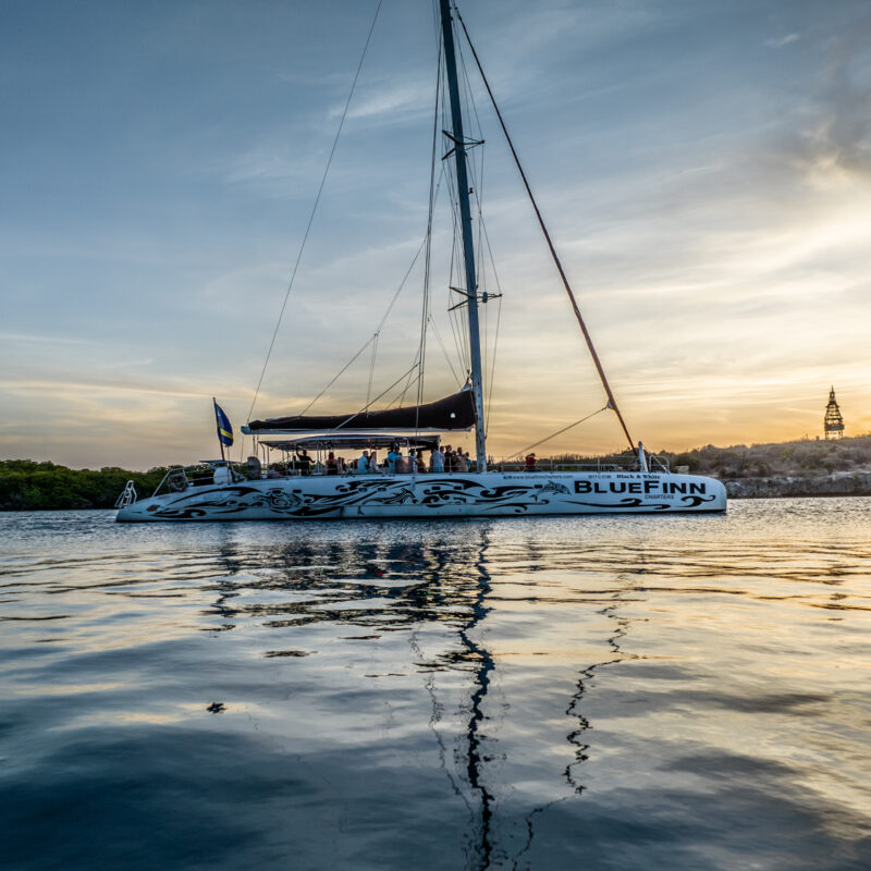 Catamaran sailing into the sunset