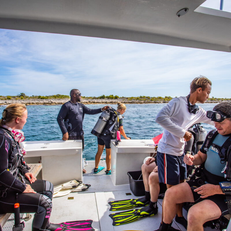 people getting ready to dive