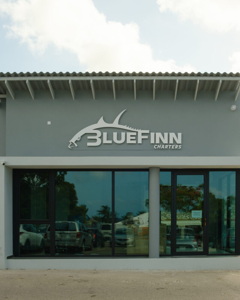 BlueFinn charters building
