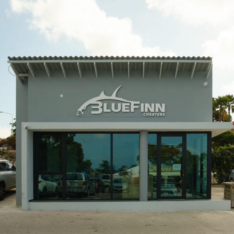 BlueFinn charters building