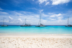 bluefinn boats by the beach