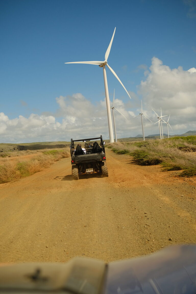 back of atv tour