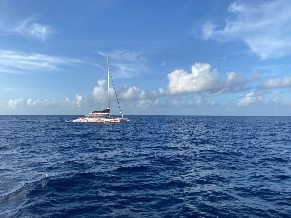 Red dragon in the sea