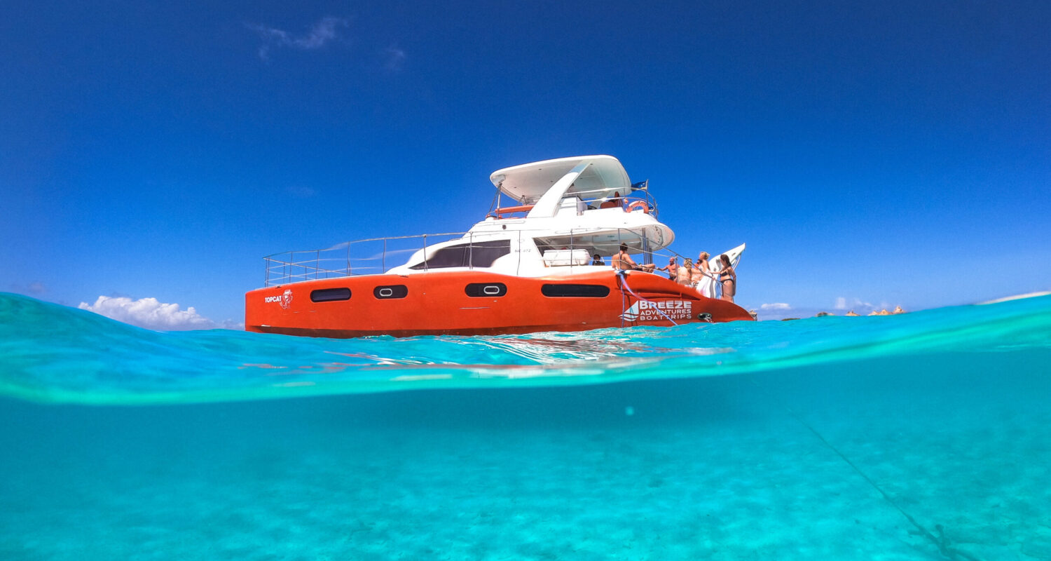 topcat bluefinn charters in the sea