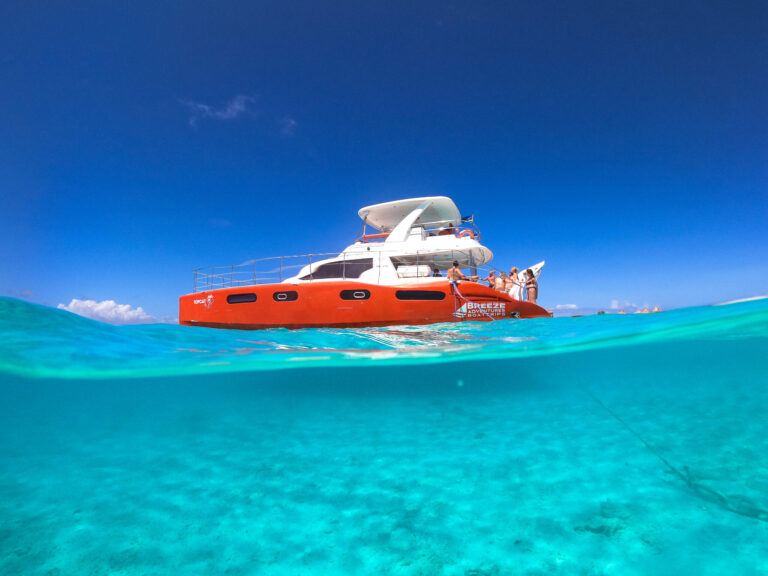 topcat bluefinn charters in the sea