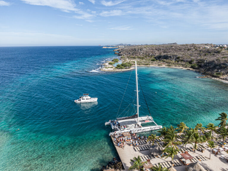 bluefinn catamaran docked