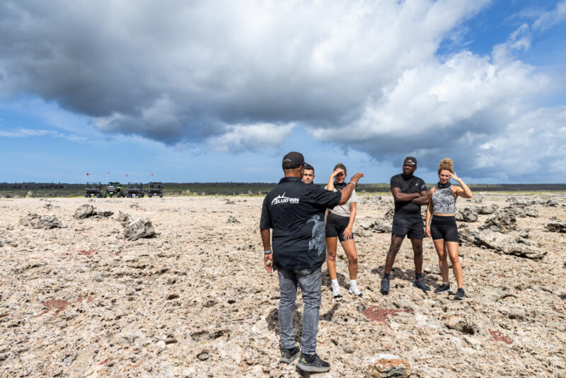 atv group by coast