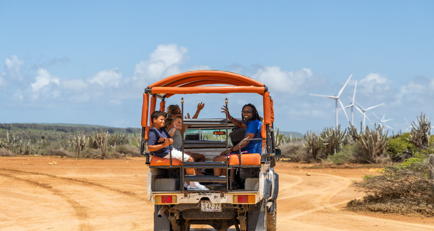 Safari Land Cruiser