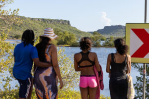 group spotting flamingo's