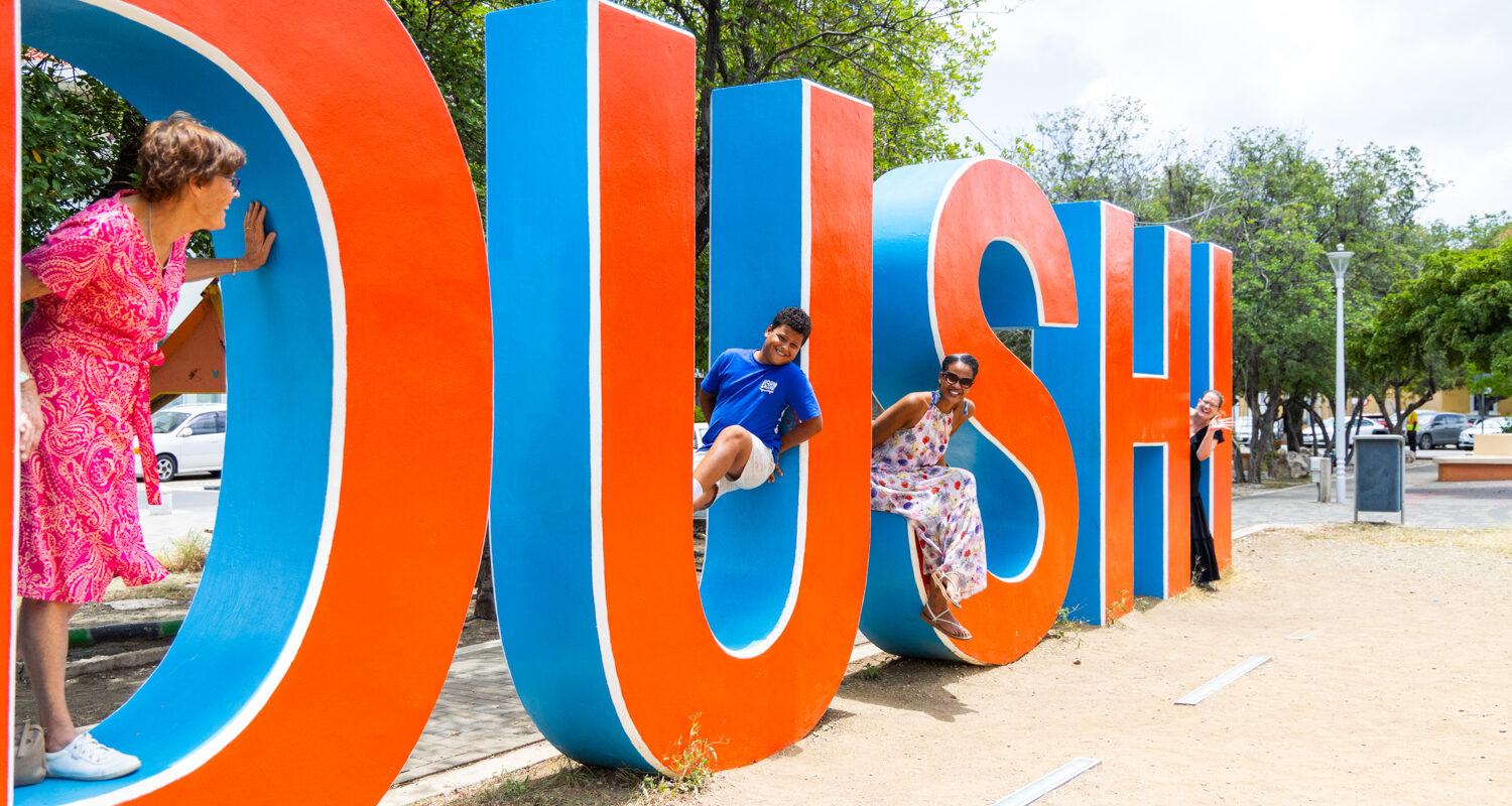 dushi sign