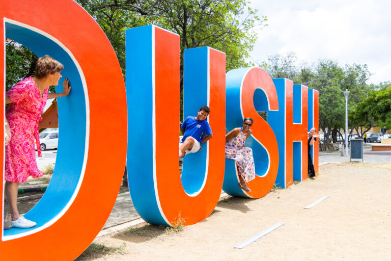 dushi sign