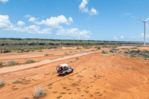 white jeep on safari