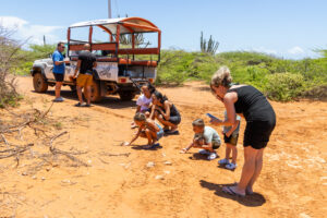 kids safari tour