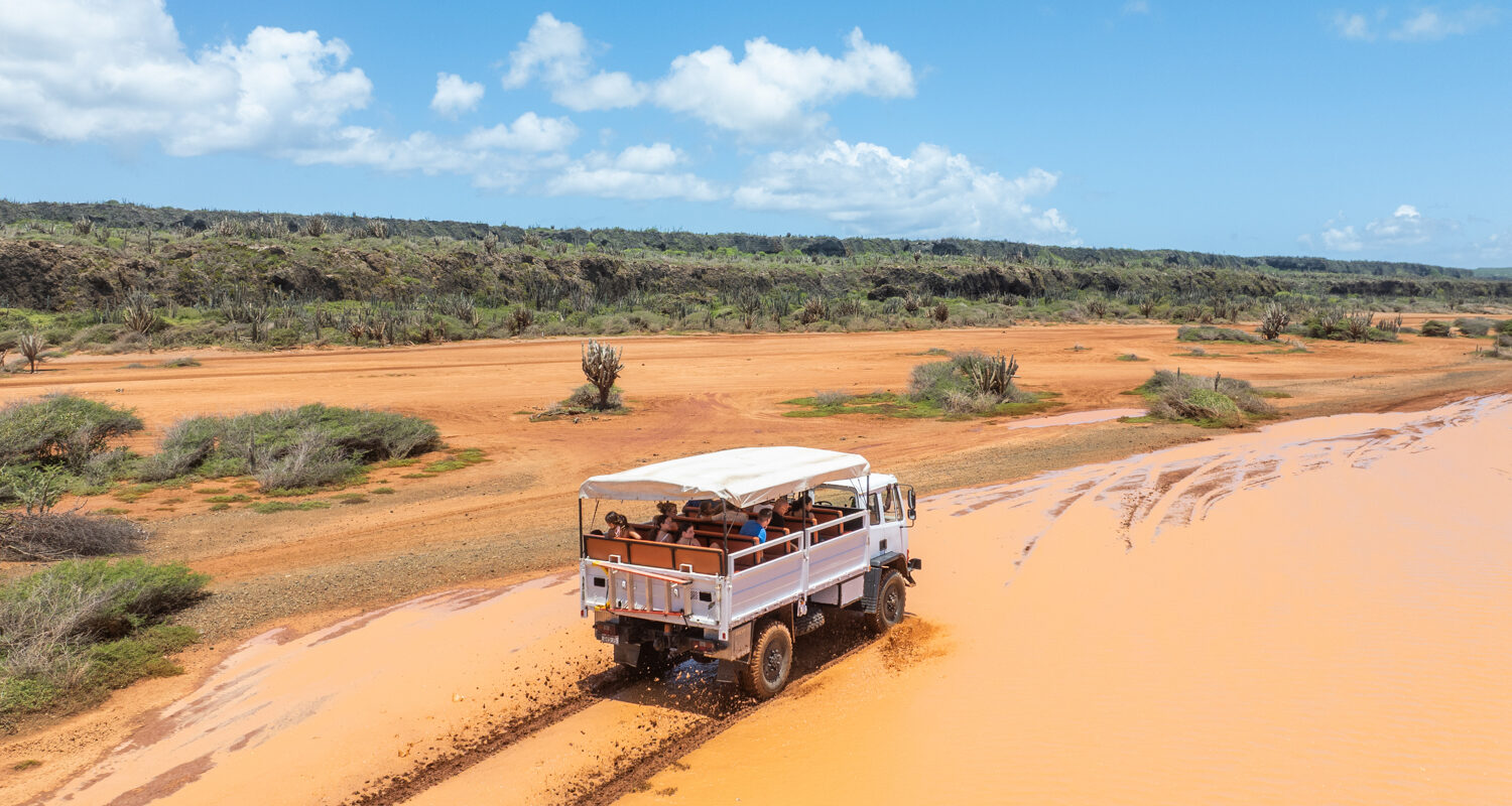 Safari Monstertruck