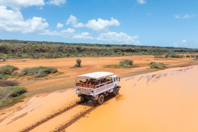 White jeep on safari