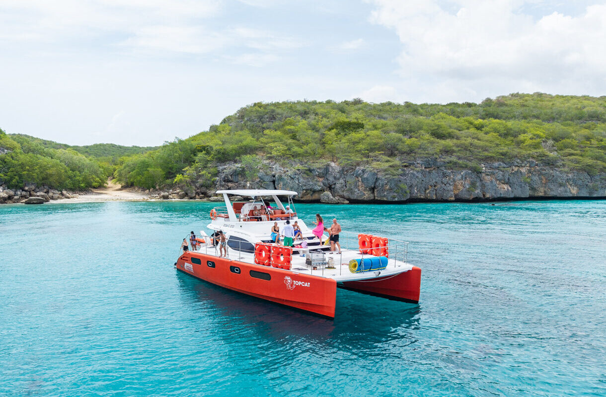 Top cat with people in bay