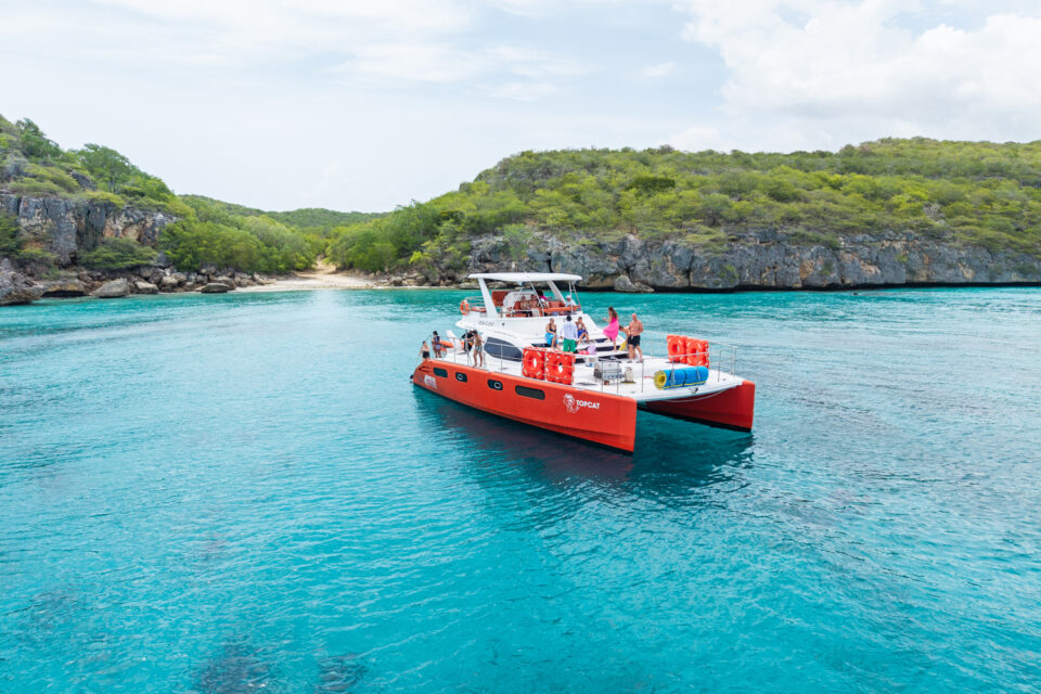 Top cat with people in bay