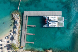 red dragon bluefinn from above