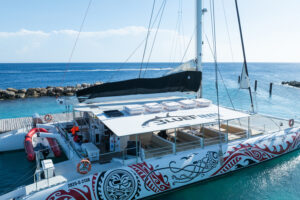 top of the bluefinn red dragon