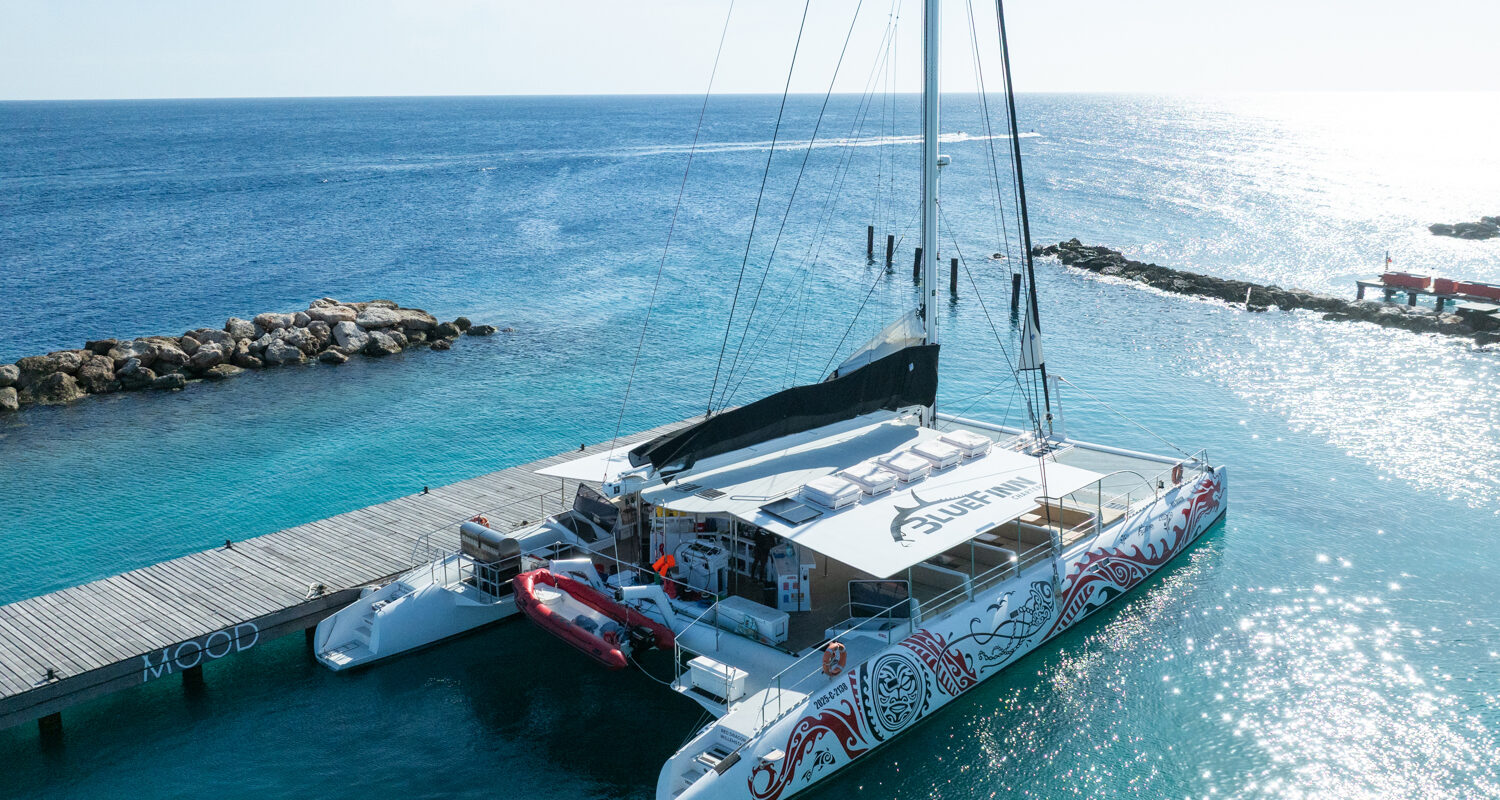 Catamaran Red Dragon