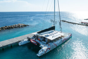 above the bluefinn red dragon