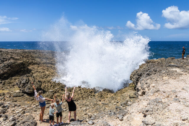 Shete boka national park pistol