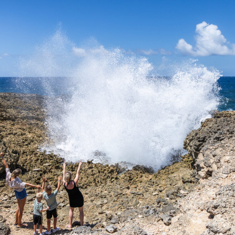 Shete boka national park pistol