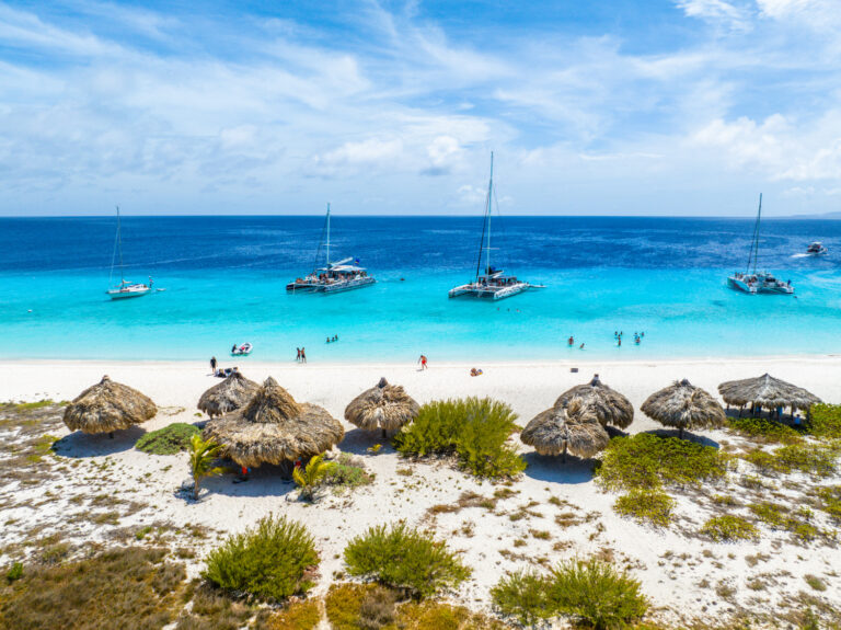people at a beach with water